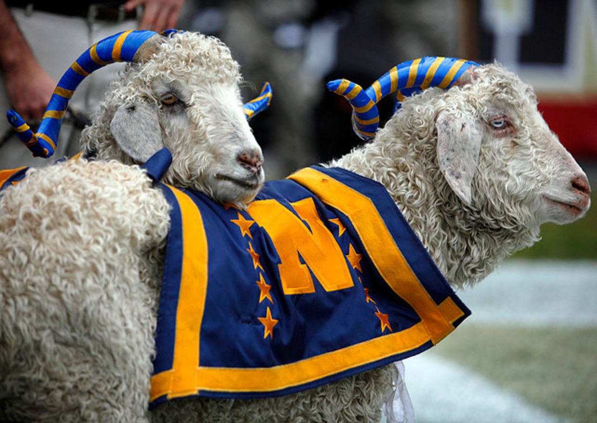Bill the Goat